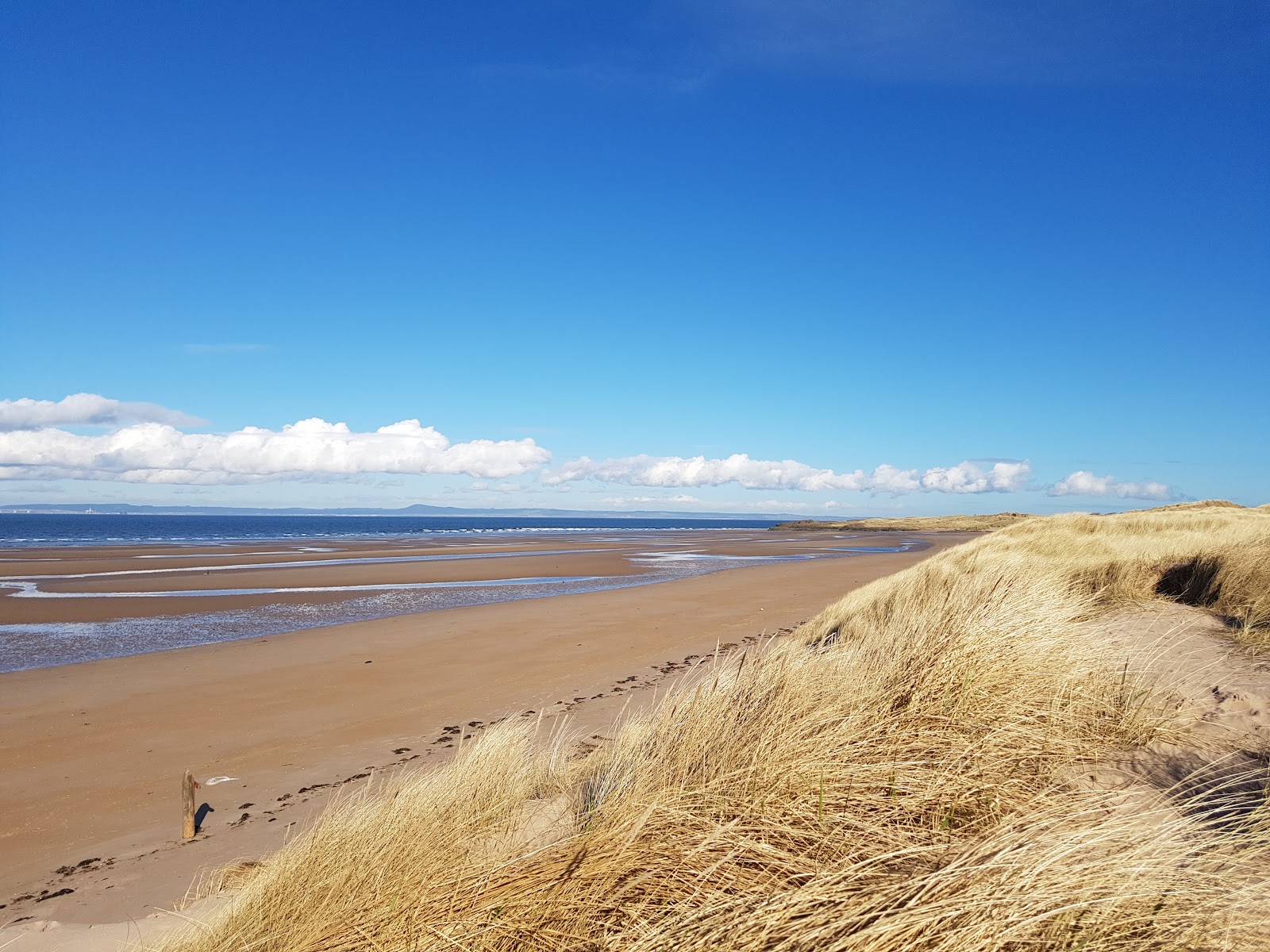 Aberlady Bay Local Nature Reserve — Place photograph