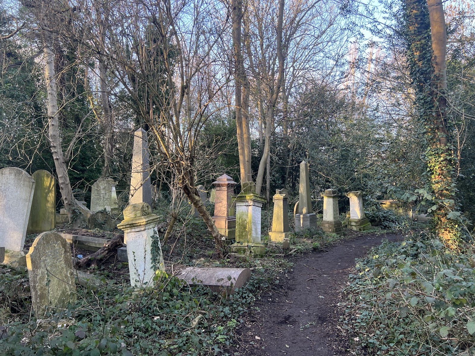 Abney Park Cemetery — Place photograph