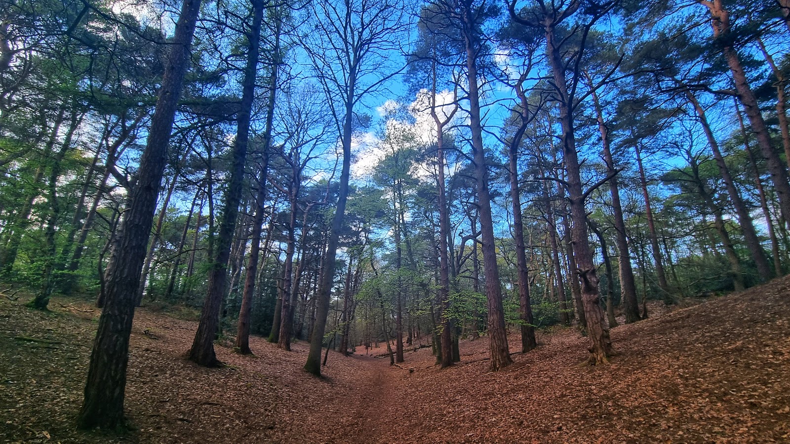 Addington Hills