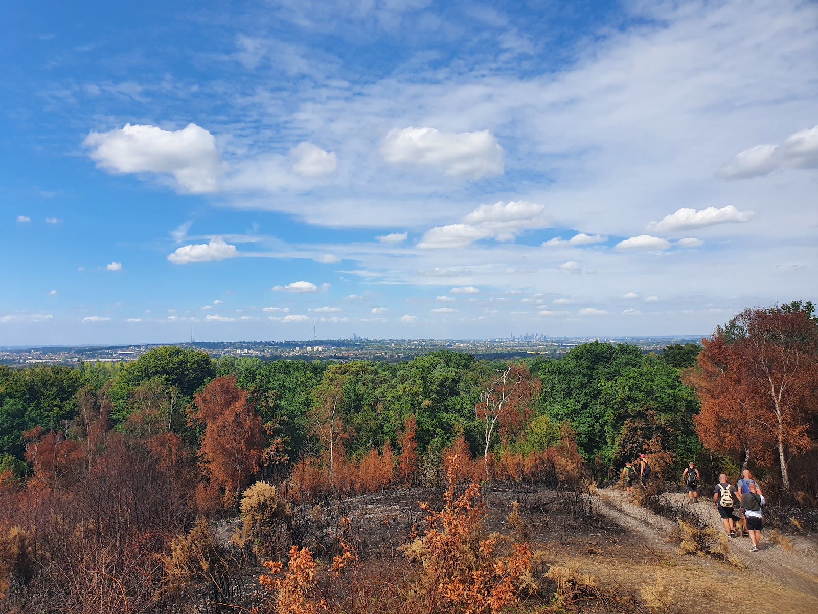 Addington Hills — Place photograph