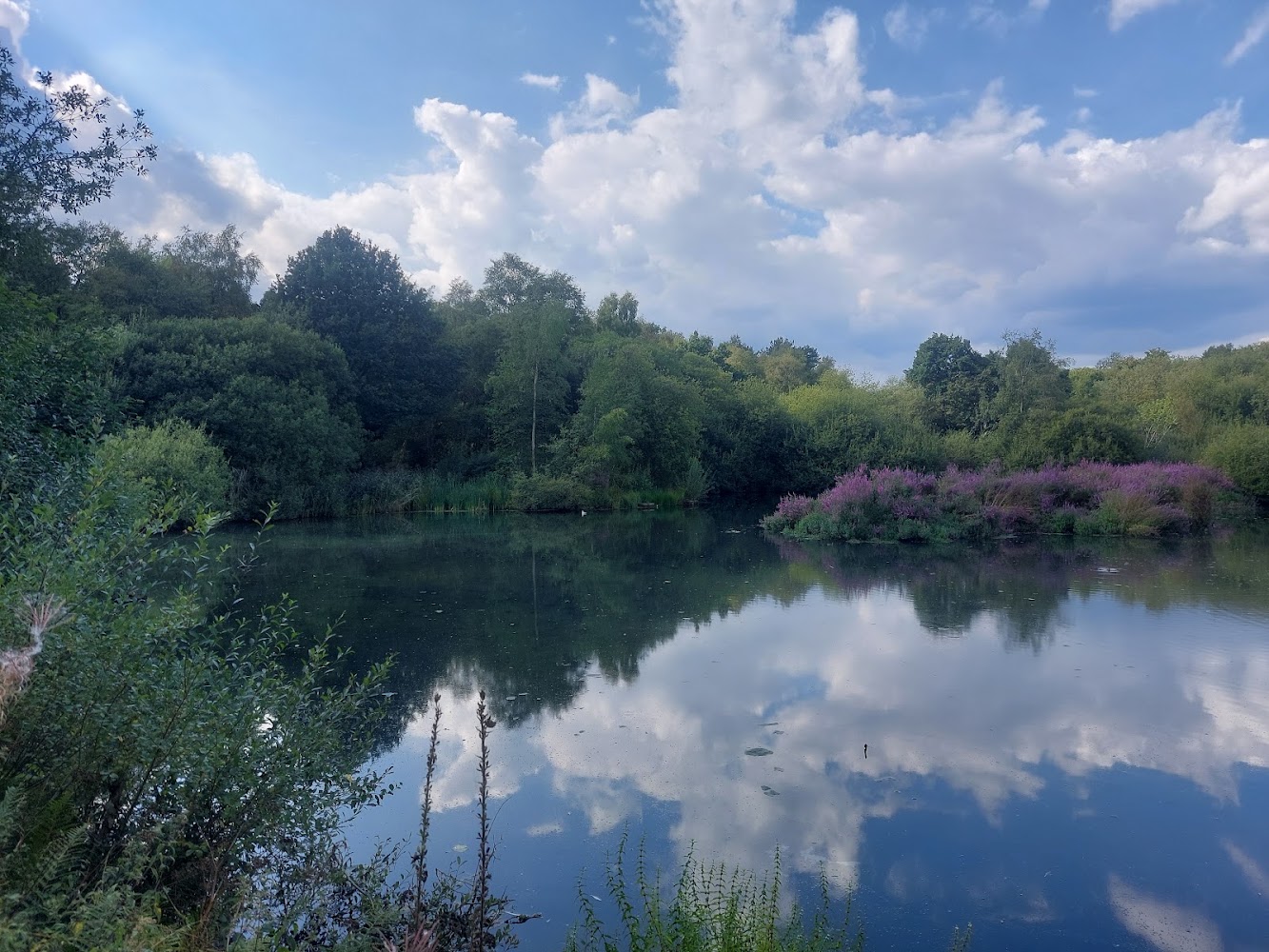 Adel Dam Nature Reserve — Source image