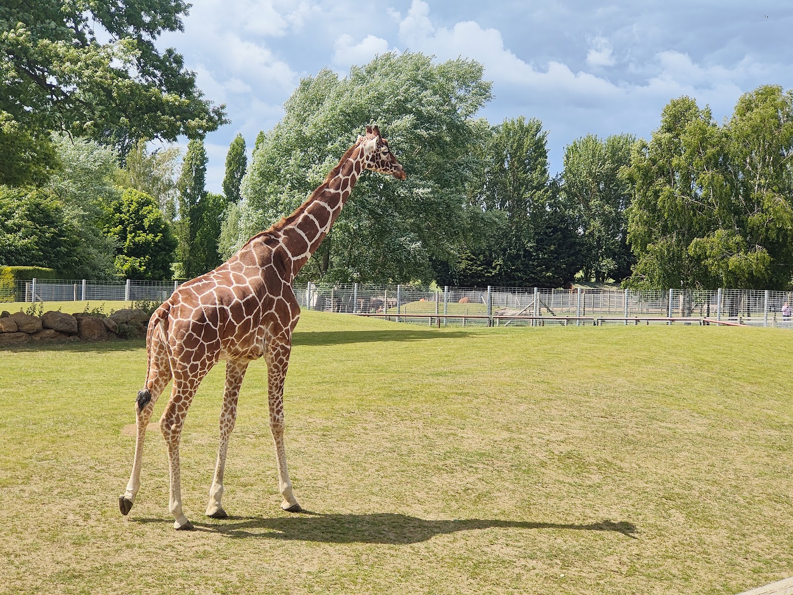Africa Alive — Place photograph