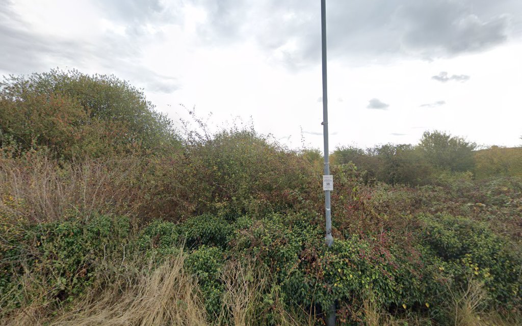 Aldborough Hall Nature Reserve — Source image
