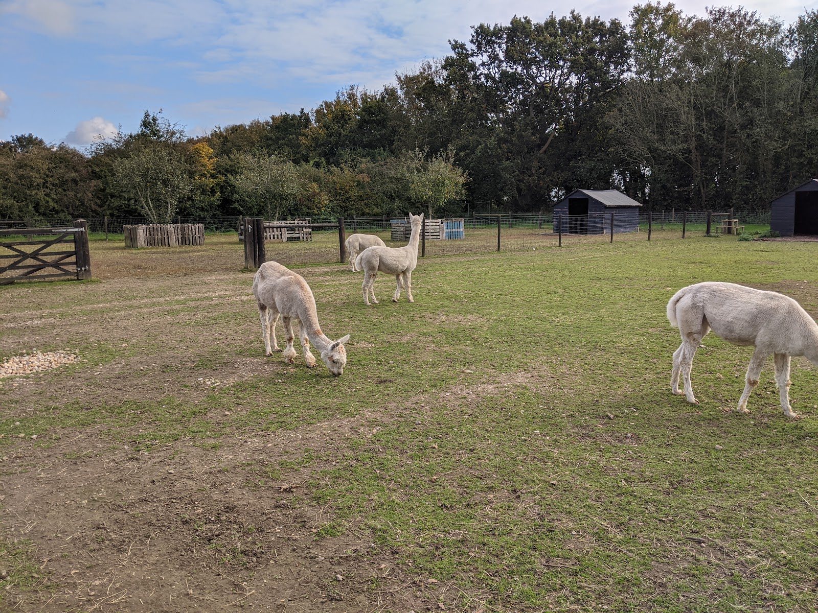 Aldingbourne Country Centre — Place photograph