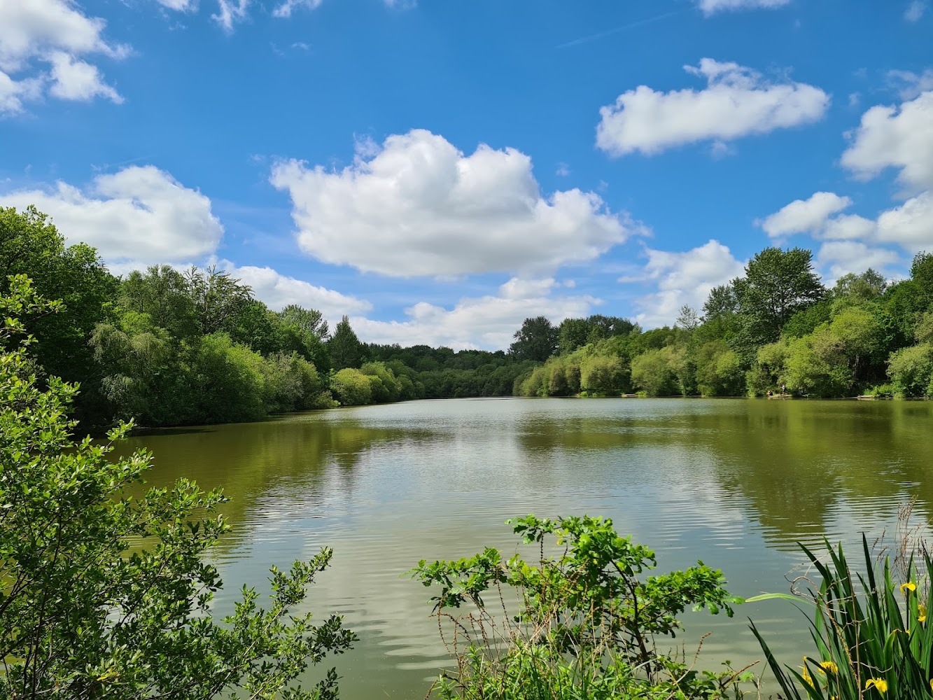 Alice Holt Forest — Source image