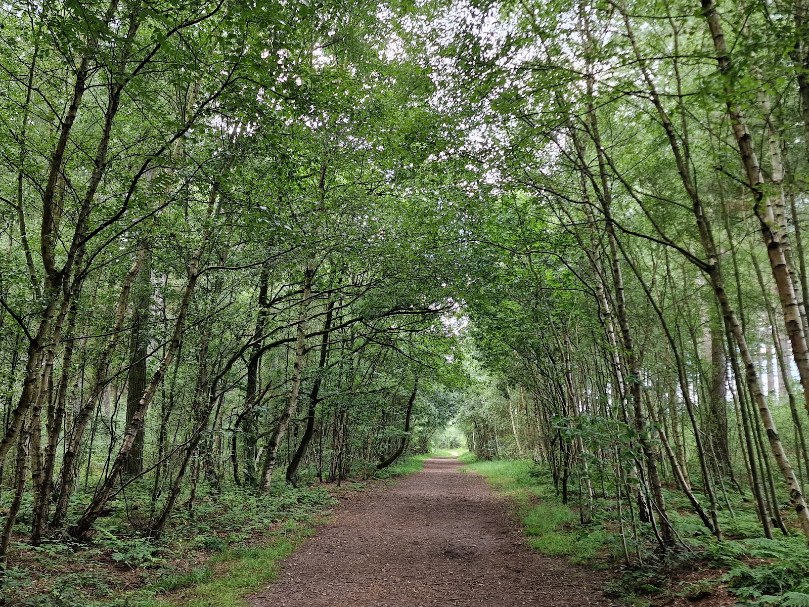 Allerthorpe Common Nature Reserve — Place photograph