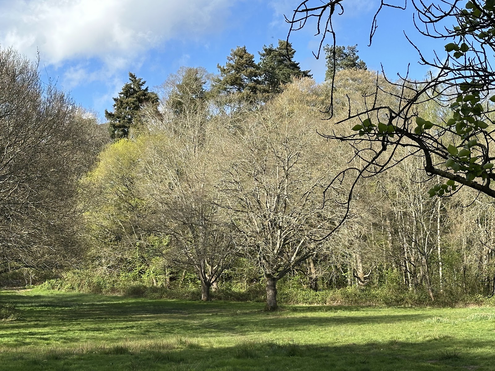 Ambarrow Court — Place photograph