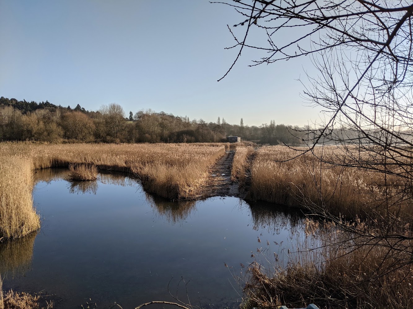 Amwell Nature Reserve — Source image