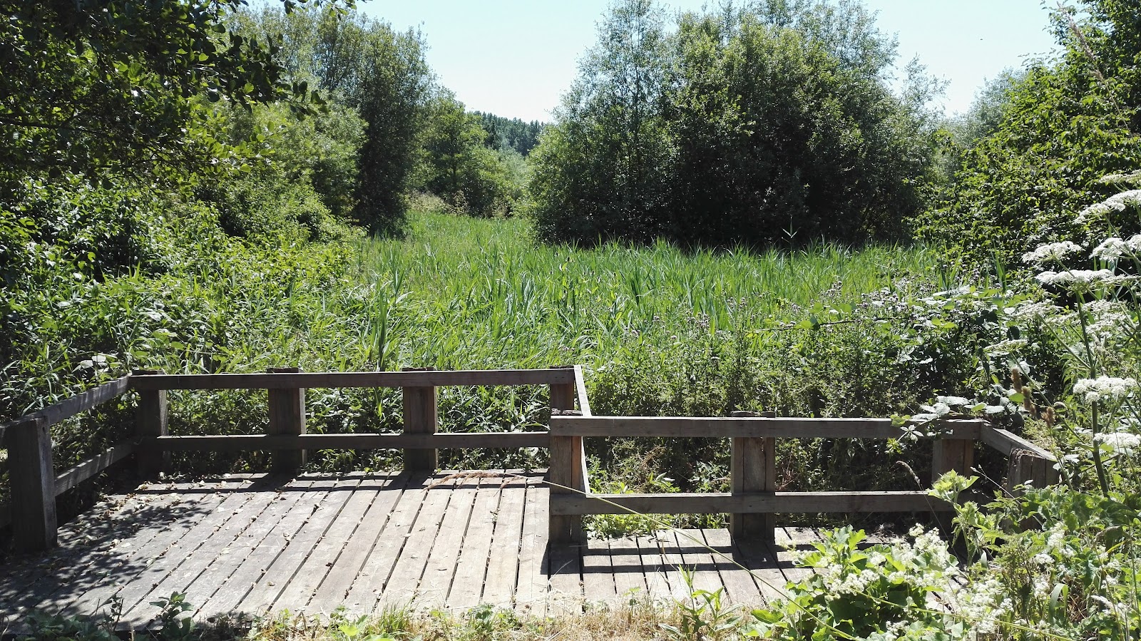 Arthur Jacob Nature Reserve — Source image