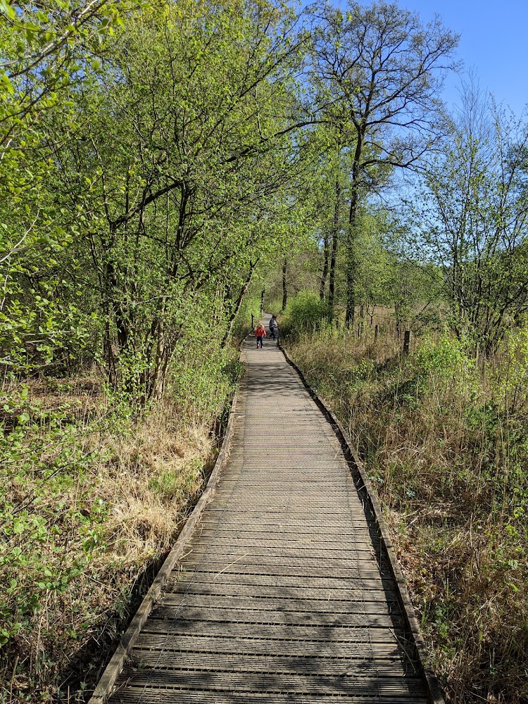 Askham Bog Nature Reserve — Source image