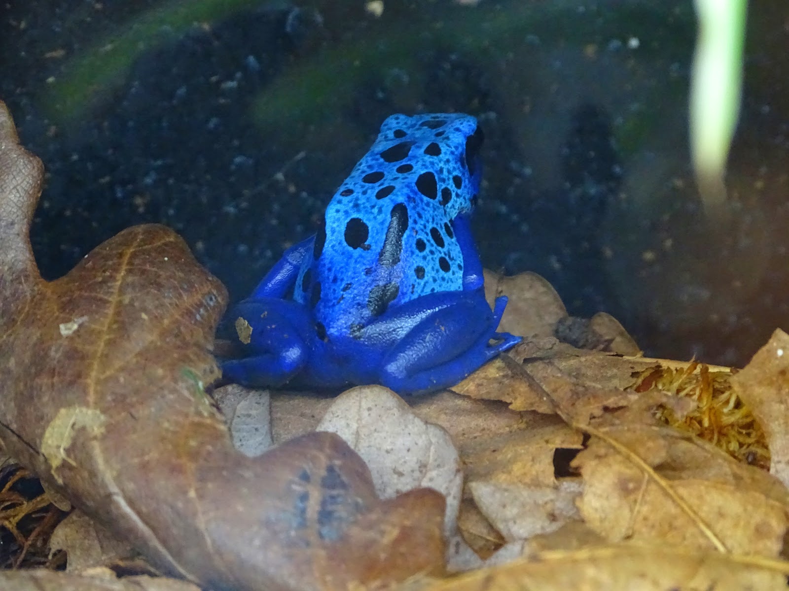 Askham Bryan Wildlife & Conservation Park
