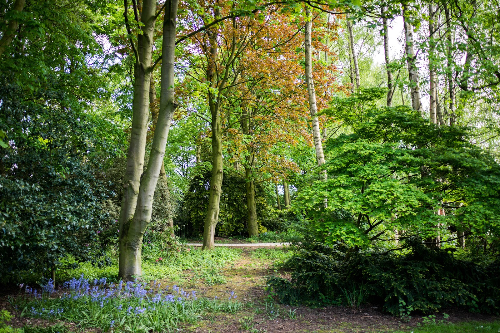 Askham Bryan Wildlife & Conservation Park — Place photograph