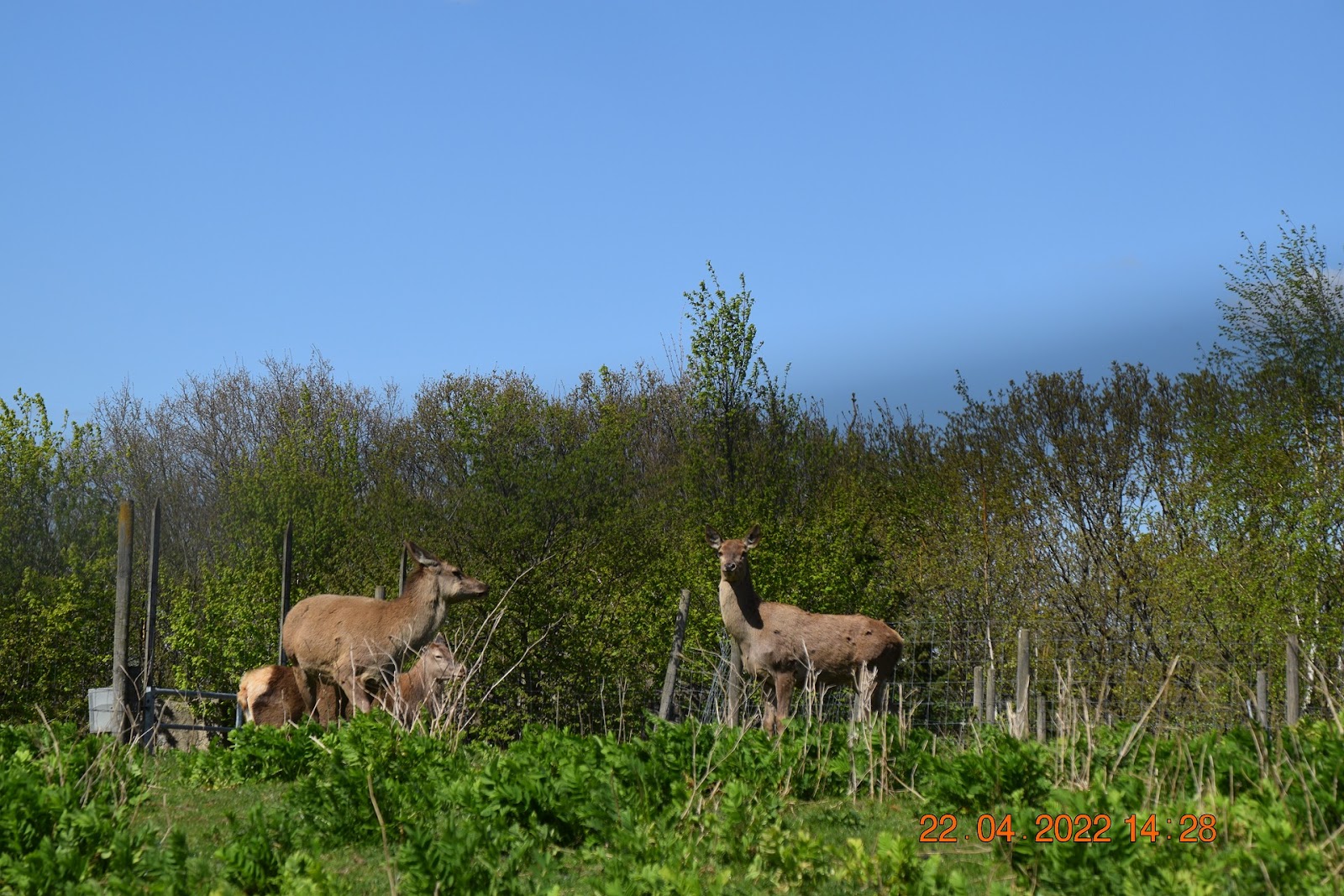 Aston Springs Farm — Place photograph