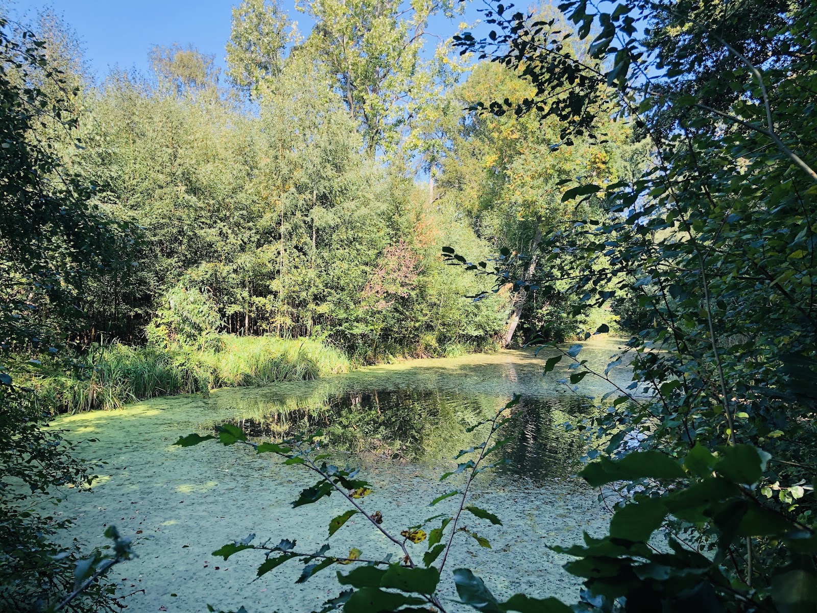 Aubrey Buxton Nature Reserve — Place photograph