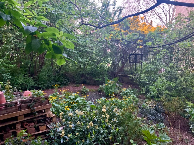 Barbican Wildlife Garden — Source image