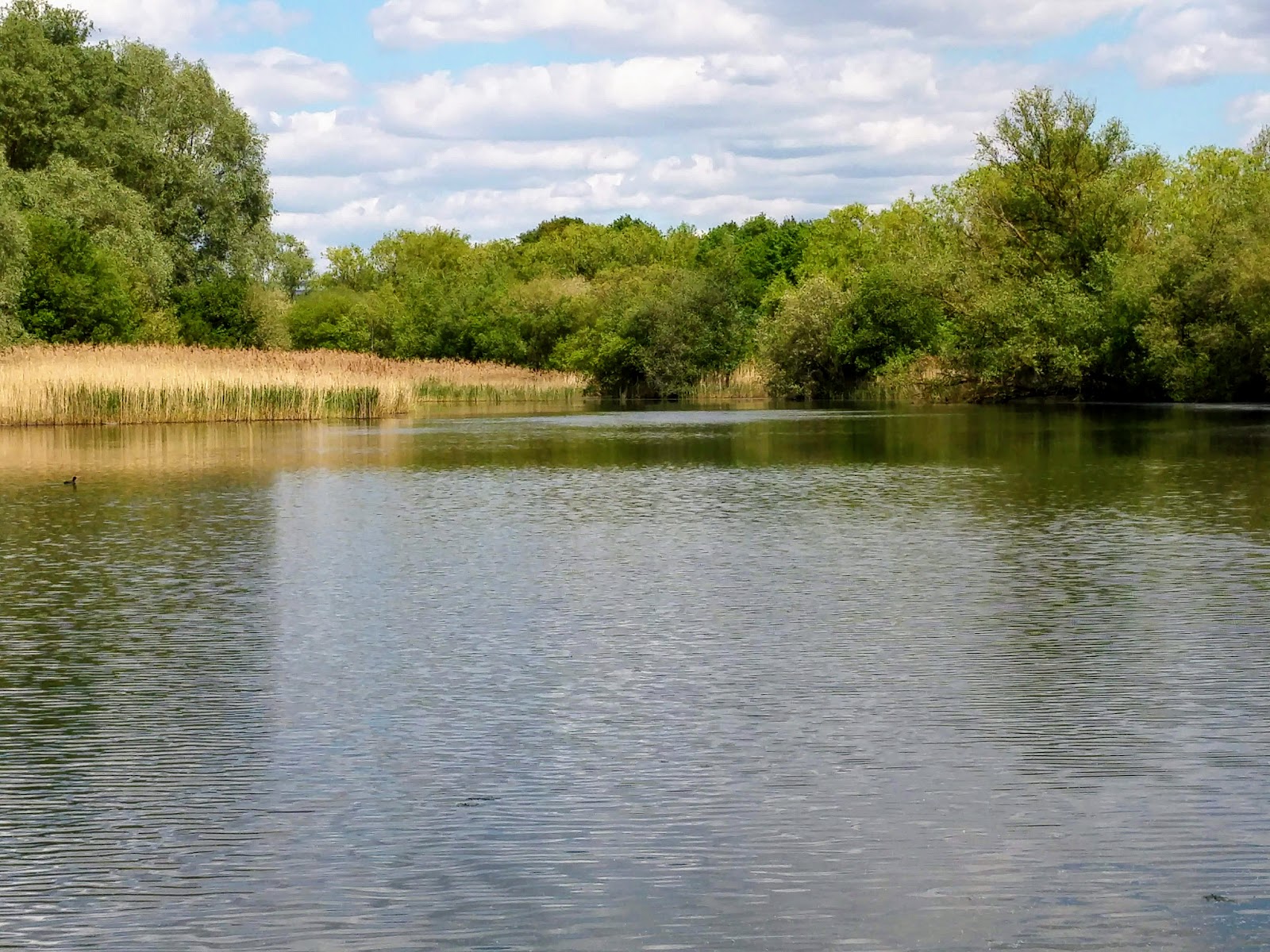 Bedfont Lakes Country Park — Place photograph