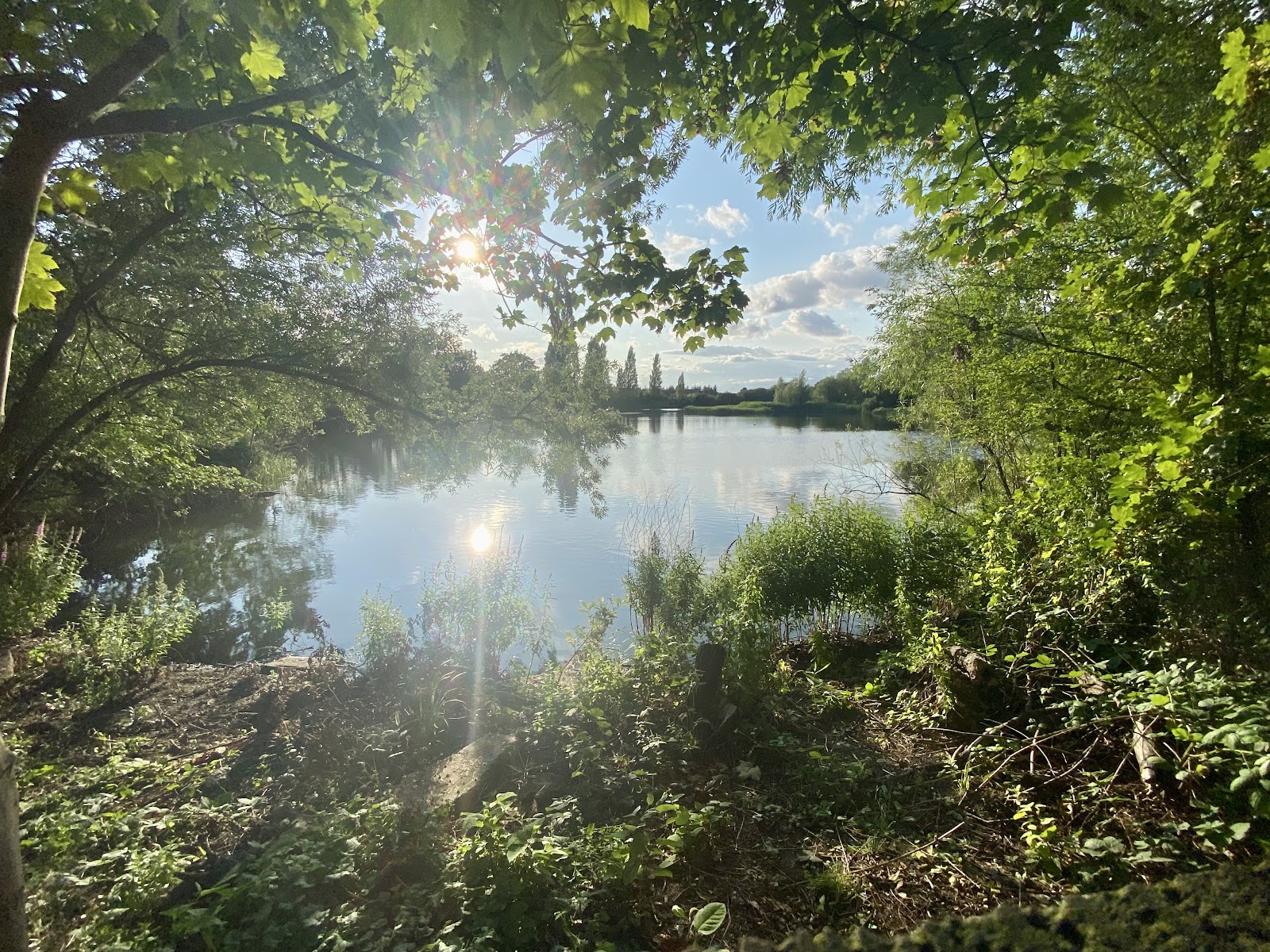 Bedfont Lake