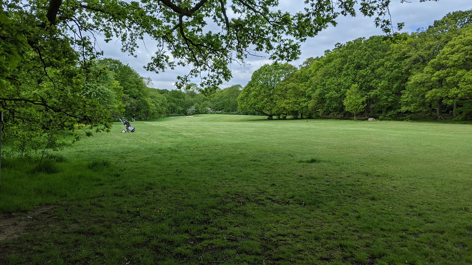 Belfairs Park Wood — Source image