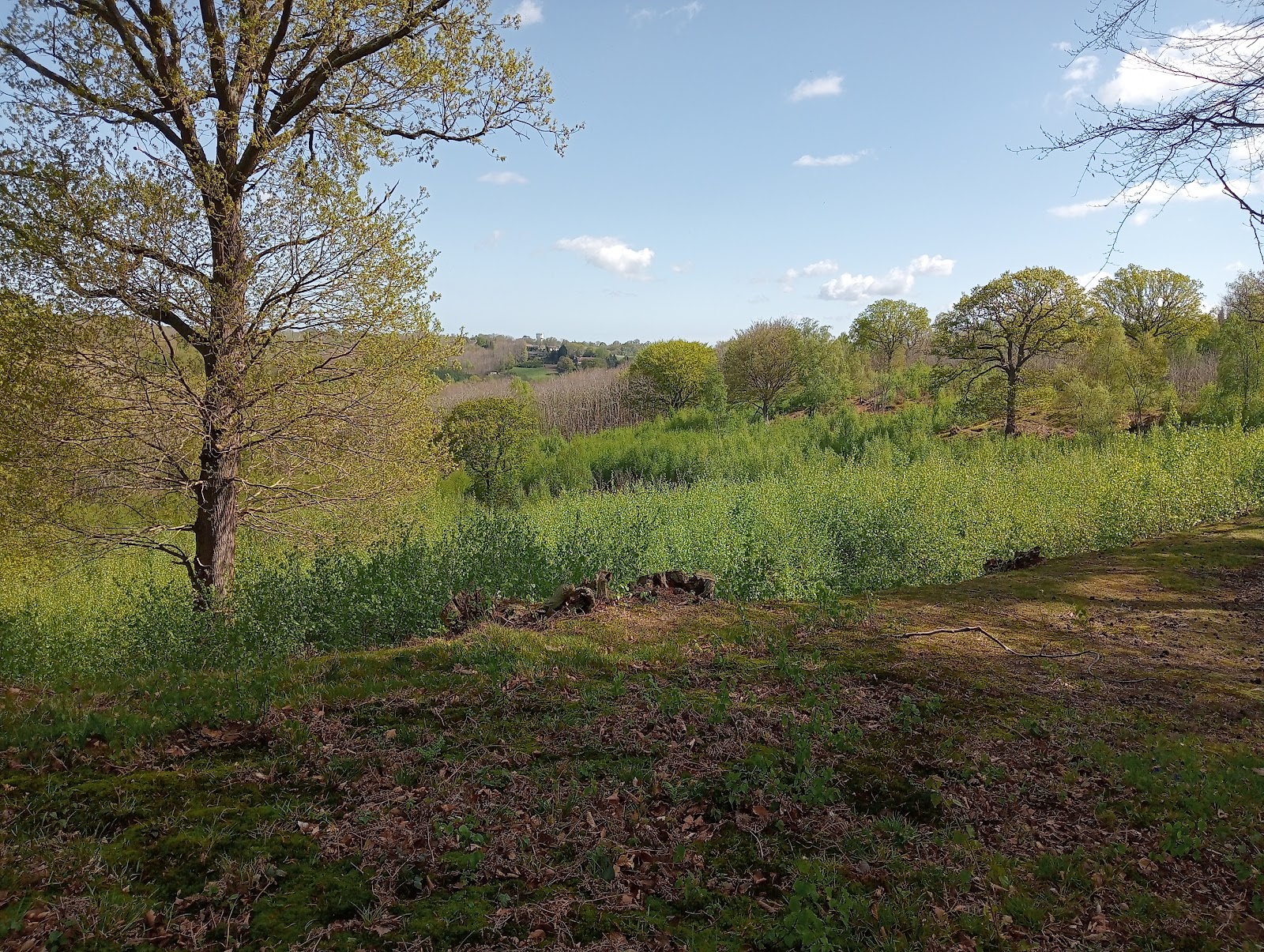 Bigbury Camp