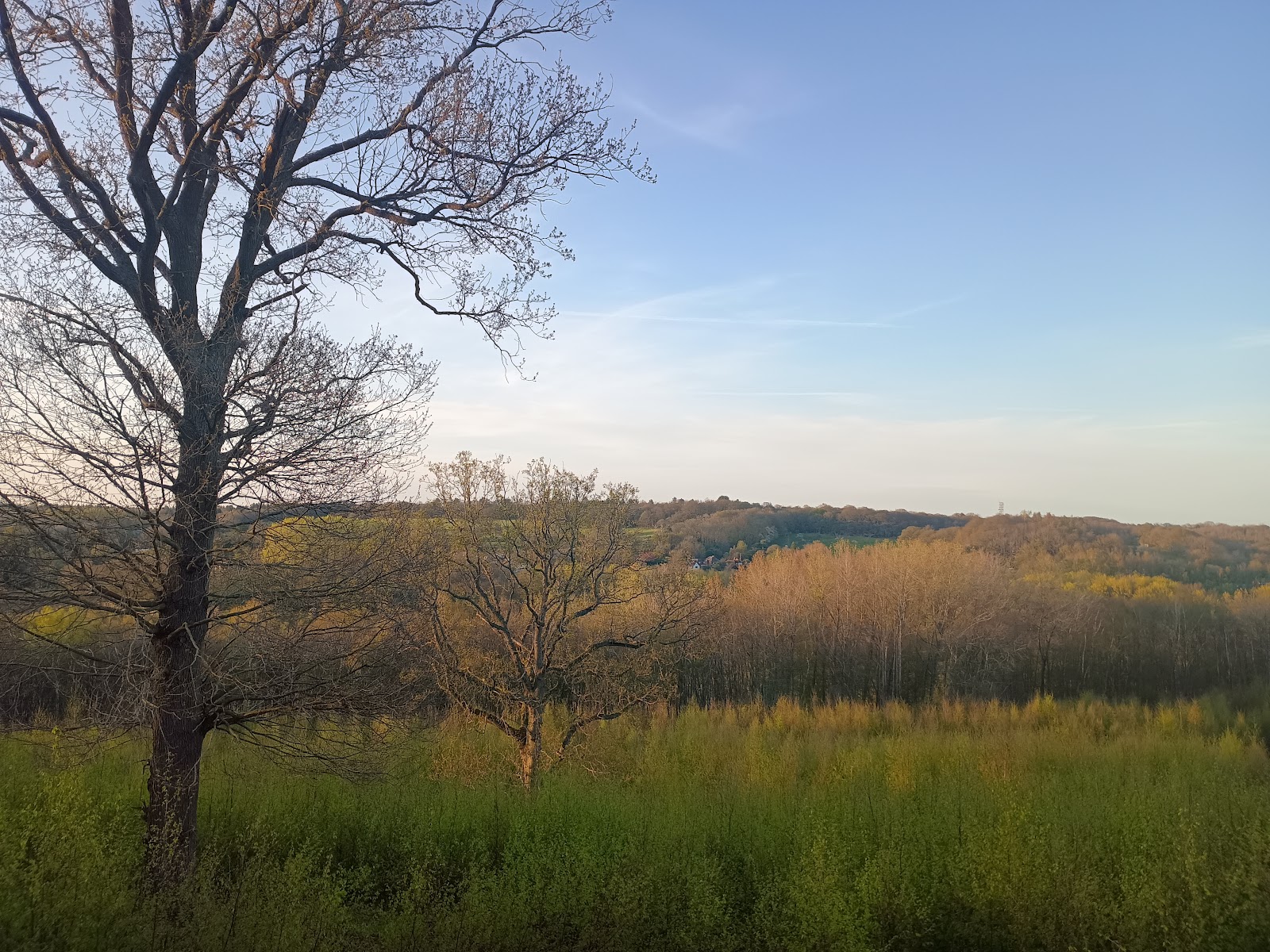 Bigbury Camp
