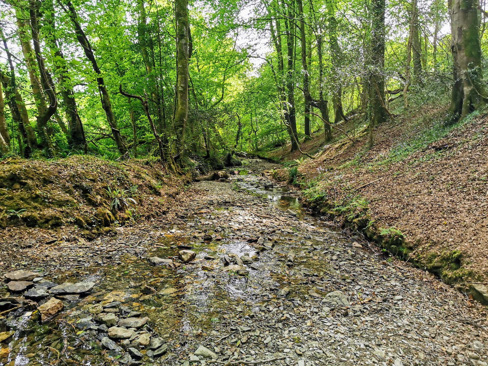 Bircham Valley Local Nature Reserve — Place photograph
