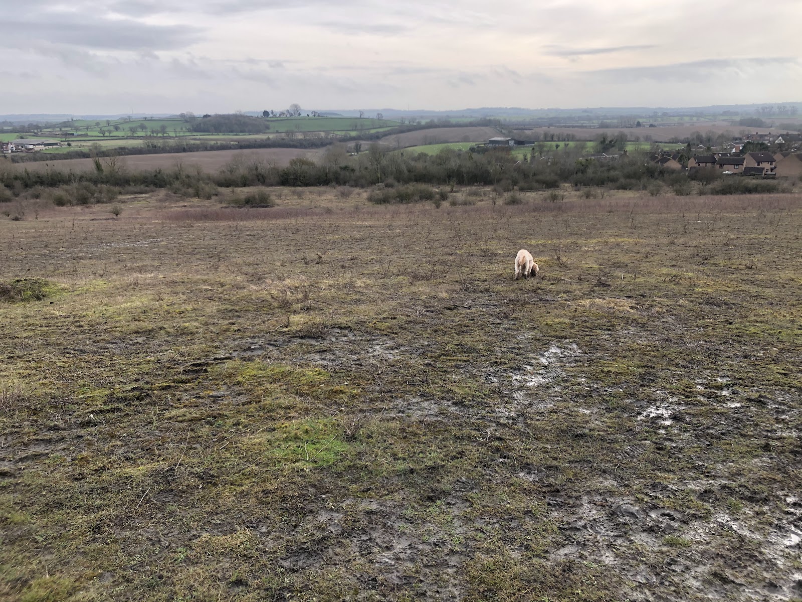 Bishop's Hill Nature Reserve — Place photograph