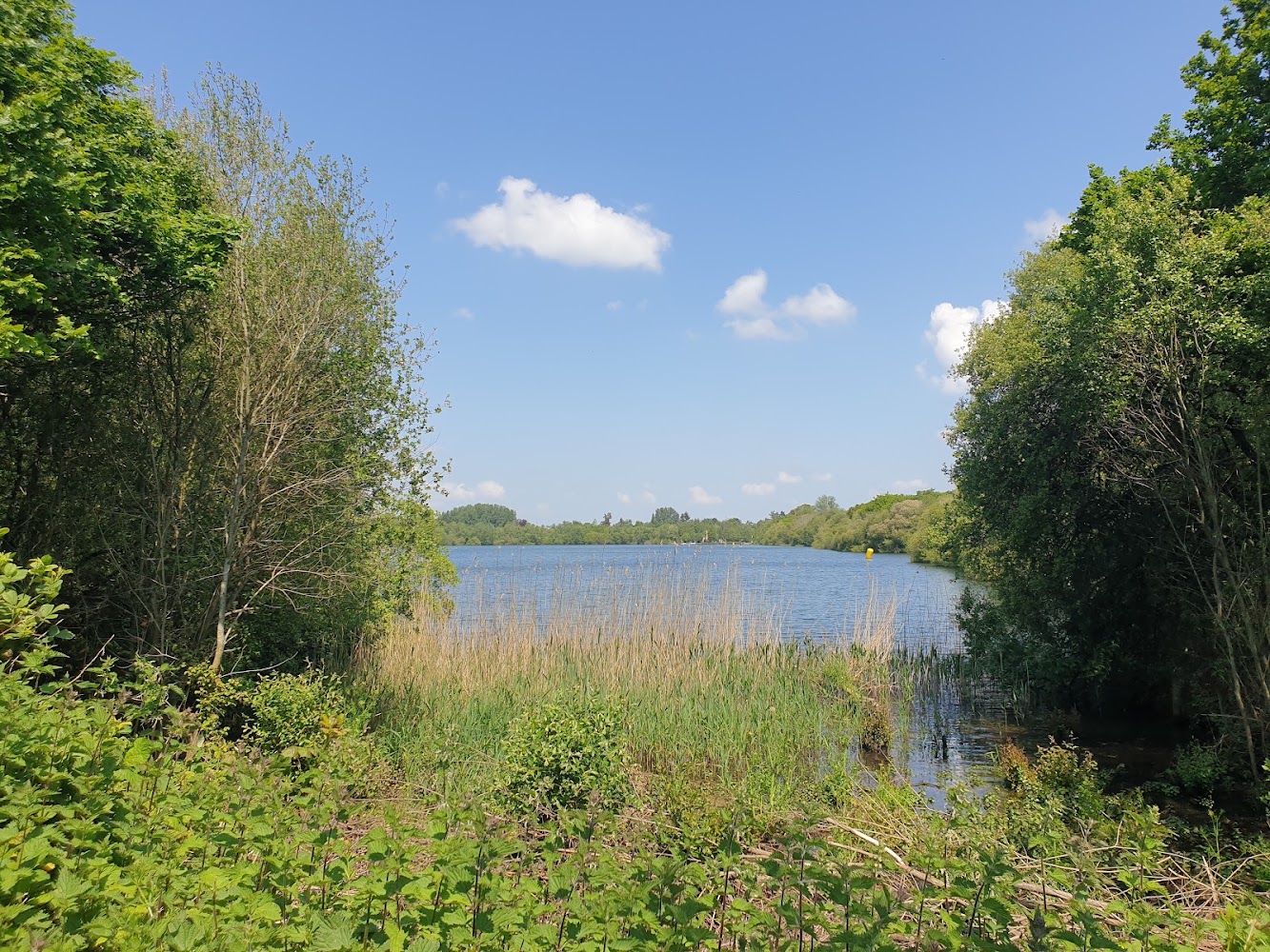 Blashford Lakes Nature Reserve — Source image