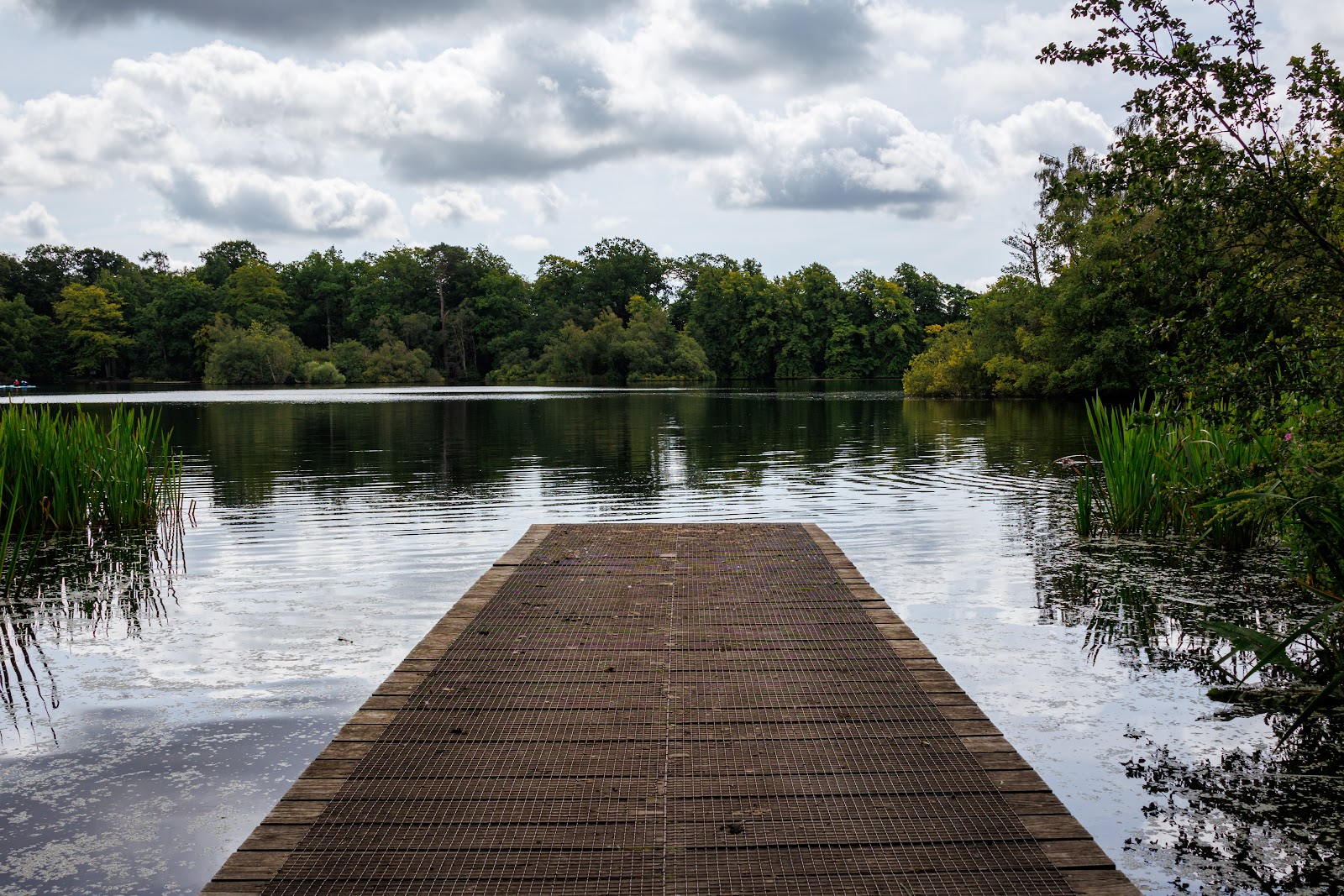 Bolam Lake Country Park — Place photograph