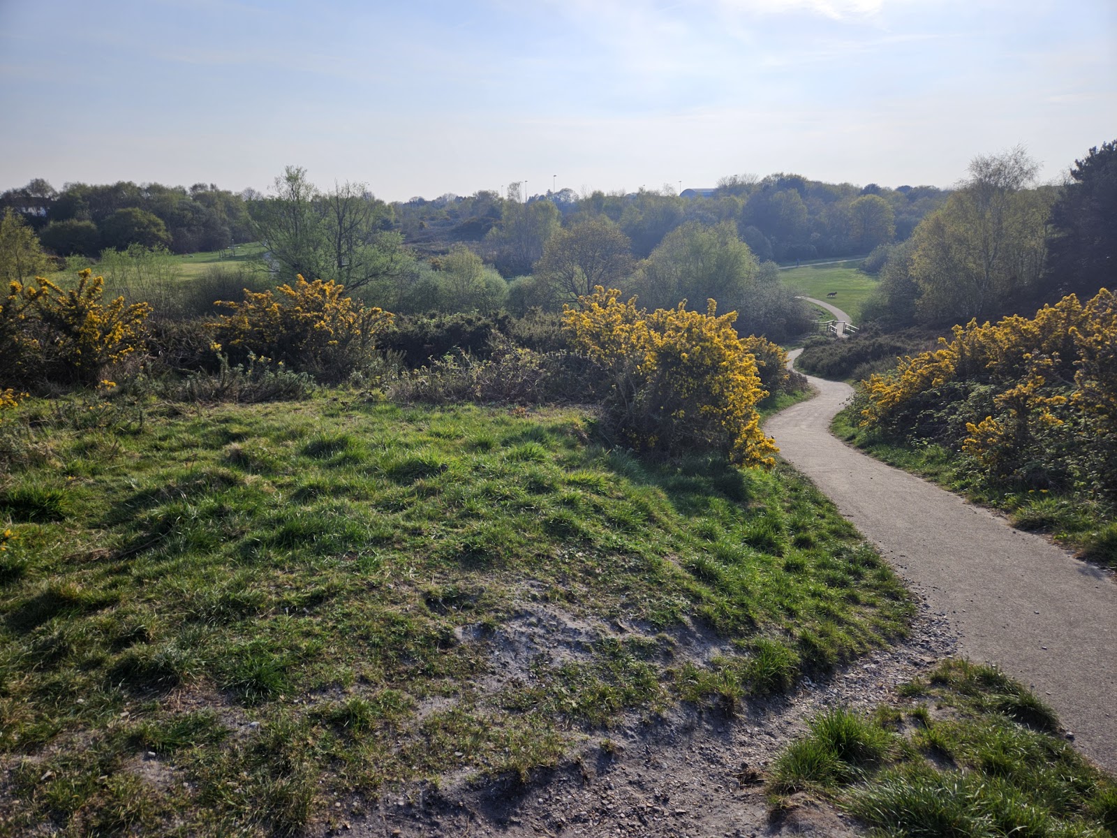 Bourne Valley Nature Reserve — Place photograph