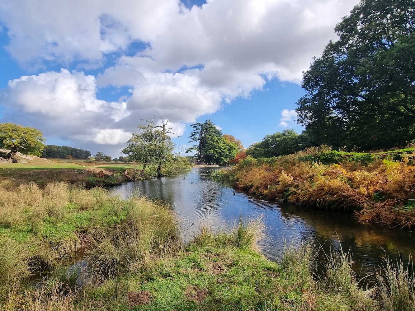 Bradgate Park — Source image
