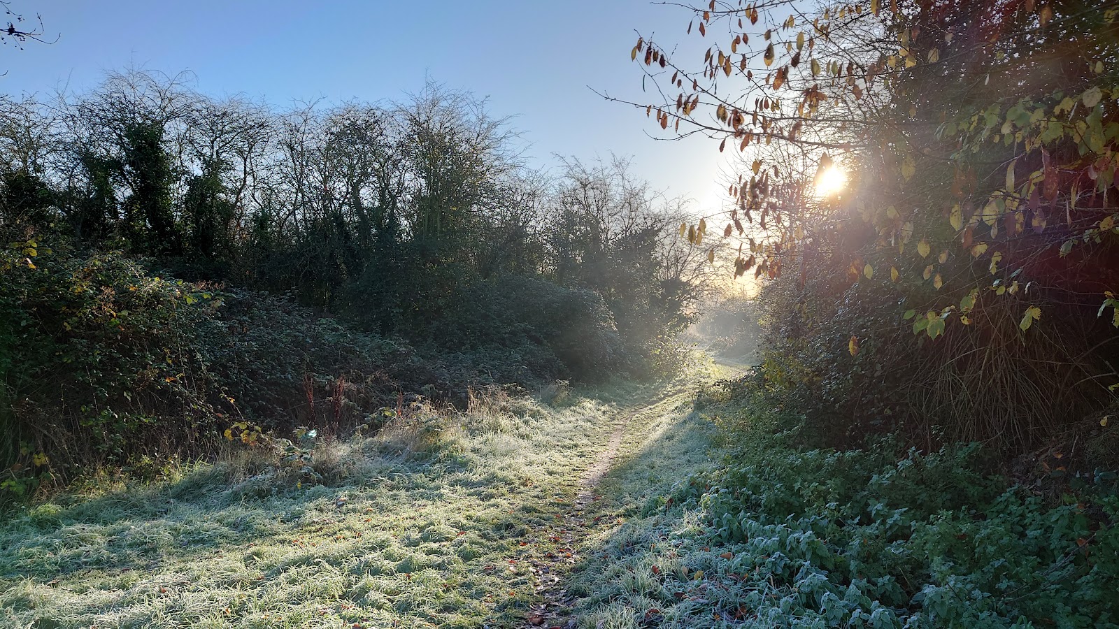 Bramblefields Local Nature Reserve — Place photograph