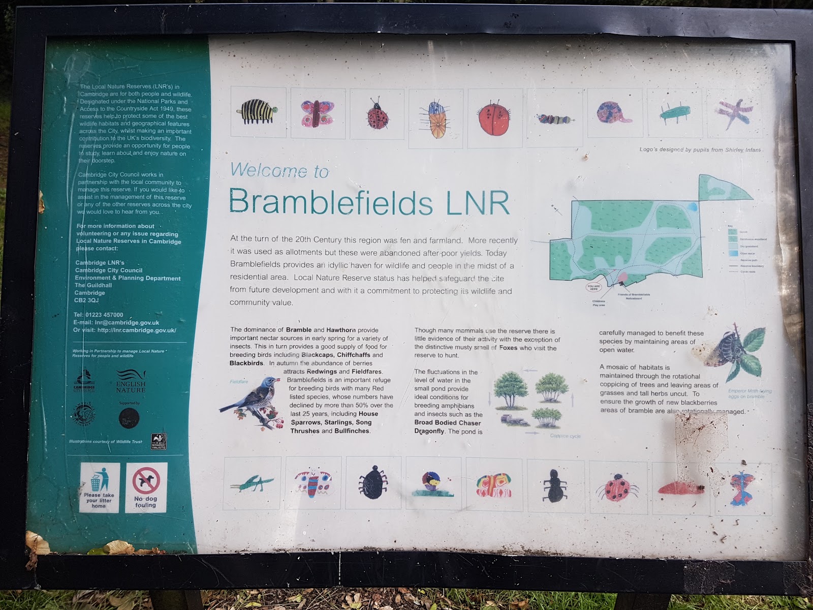 Bramblefields