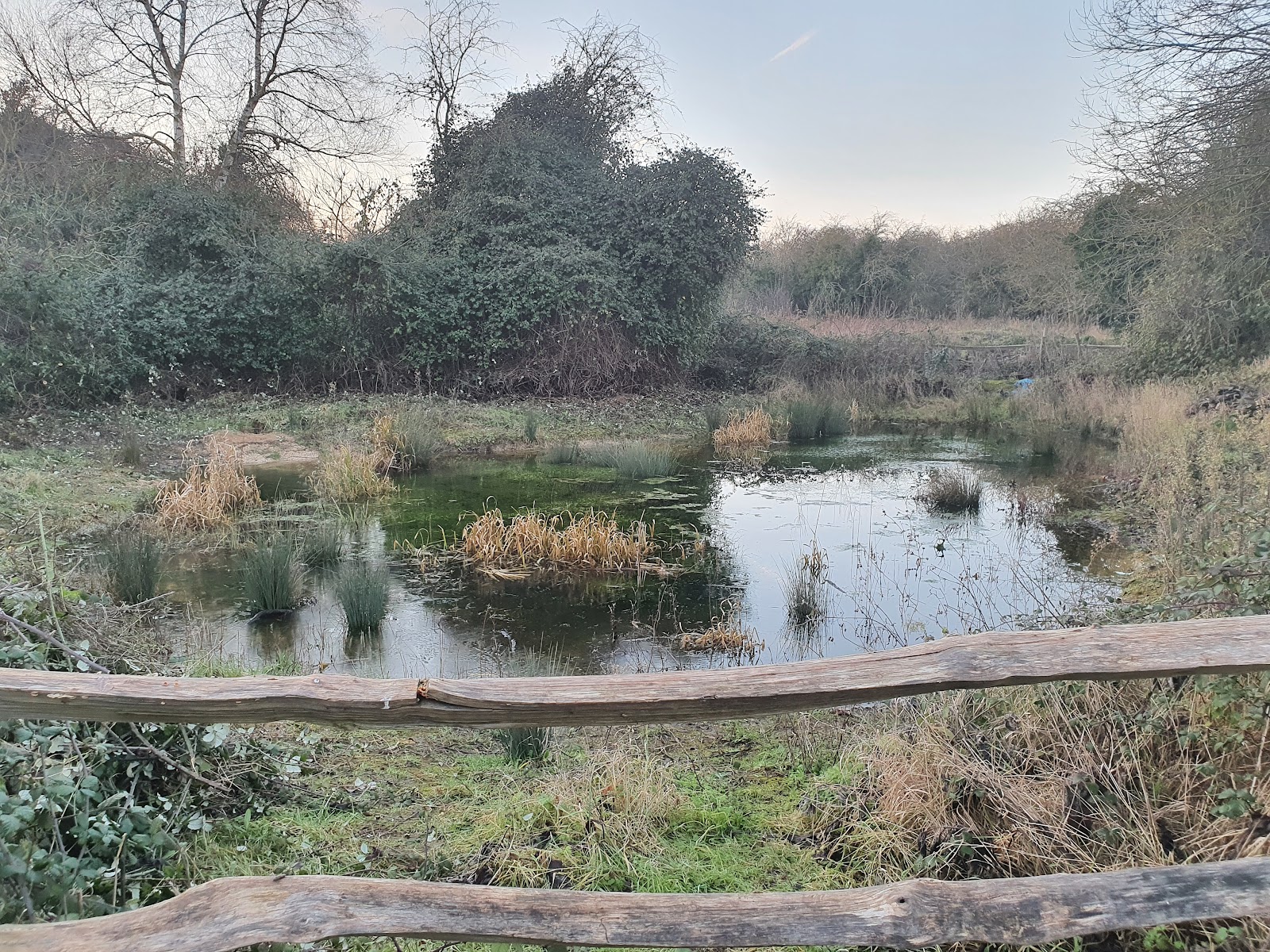 Bramblefields