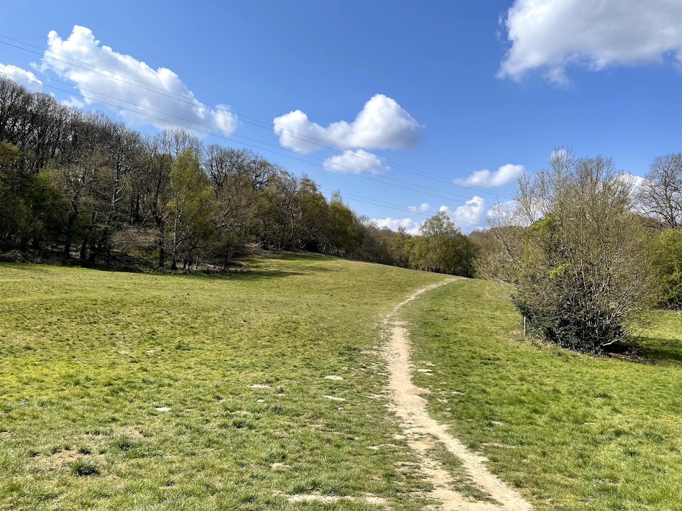 Bramley Bank — Source image
