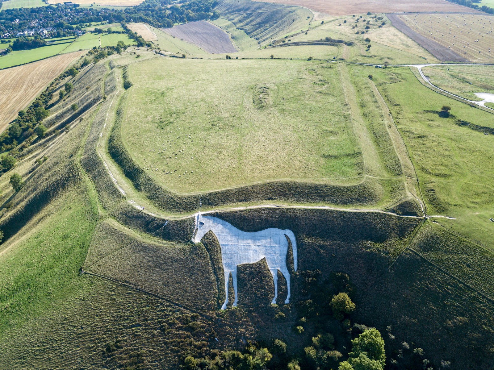Bratton Camp & White Horse — Place photograph