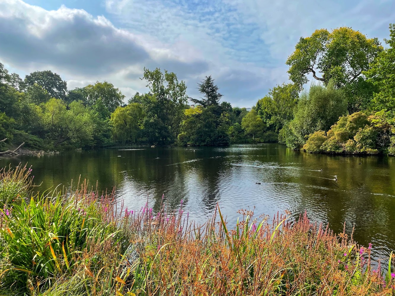 Buckingham Palace Garden — Source image