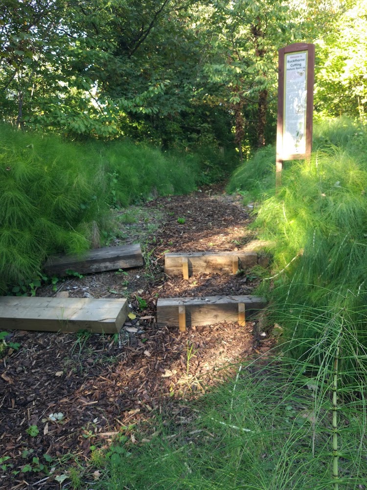 Buckthorne Cutting Nature Reserve — Source image