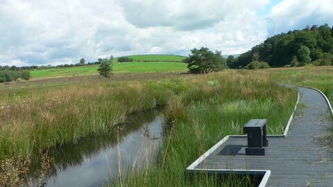Burns Beck Moss