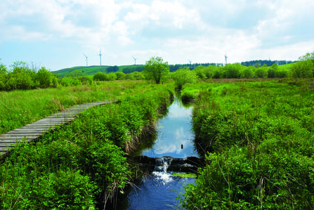 Burns Beck Moss