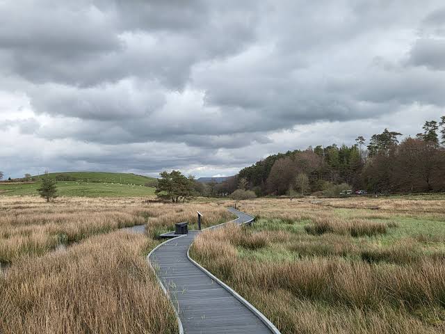 Burns Beck Moss — Place photograph