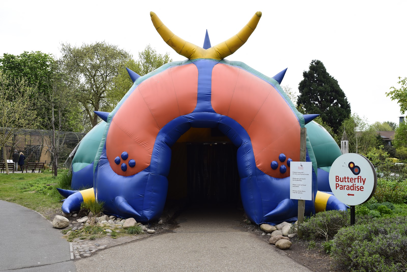 Butterfly Paradise — Place photograph
