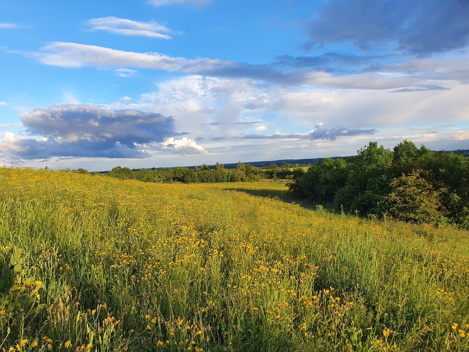 Cambourne Nature Reserve — Place photograph