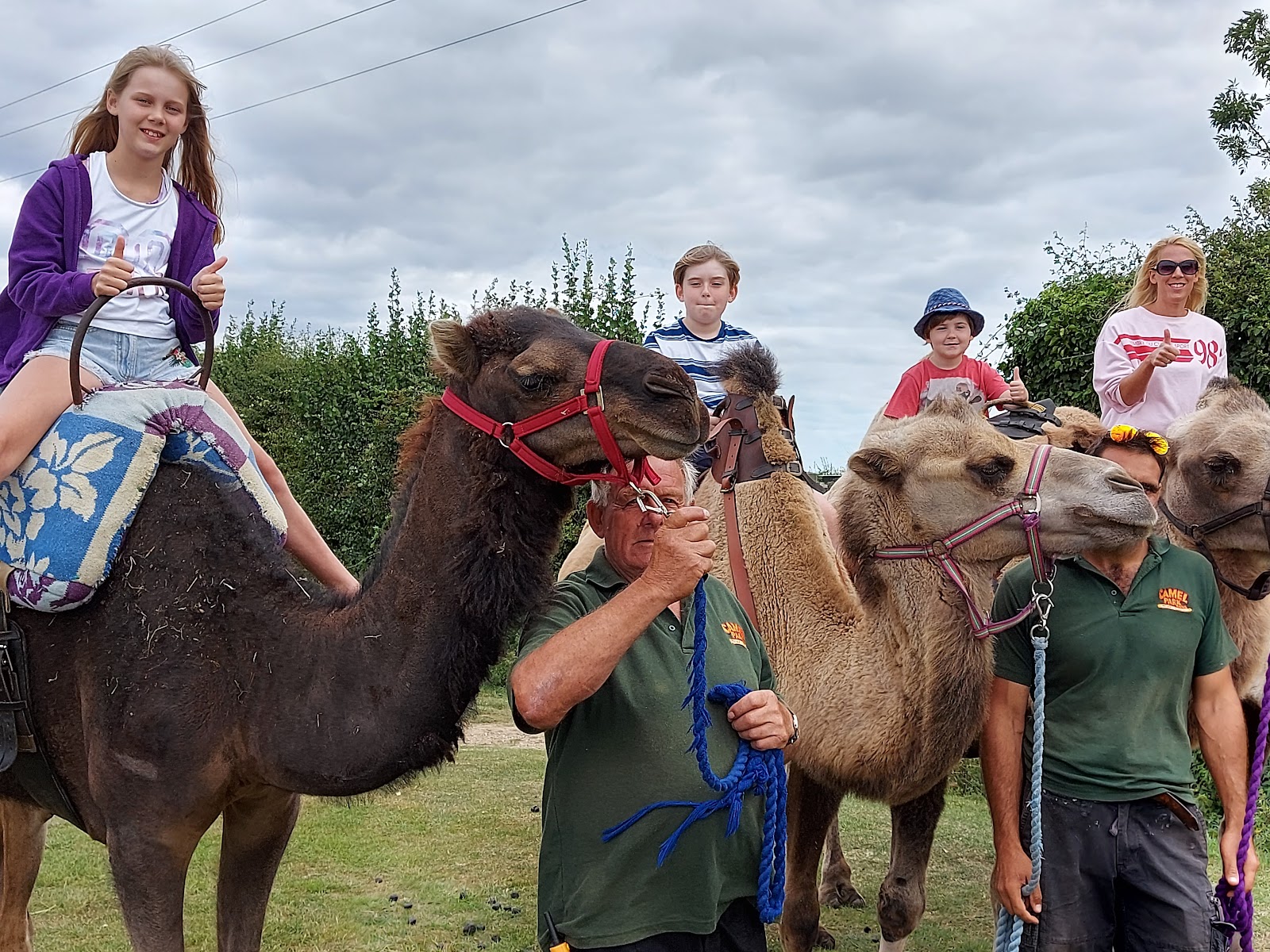 Camel Park Oasis — Place photograph