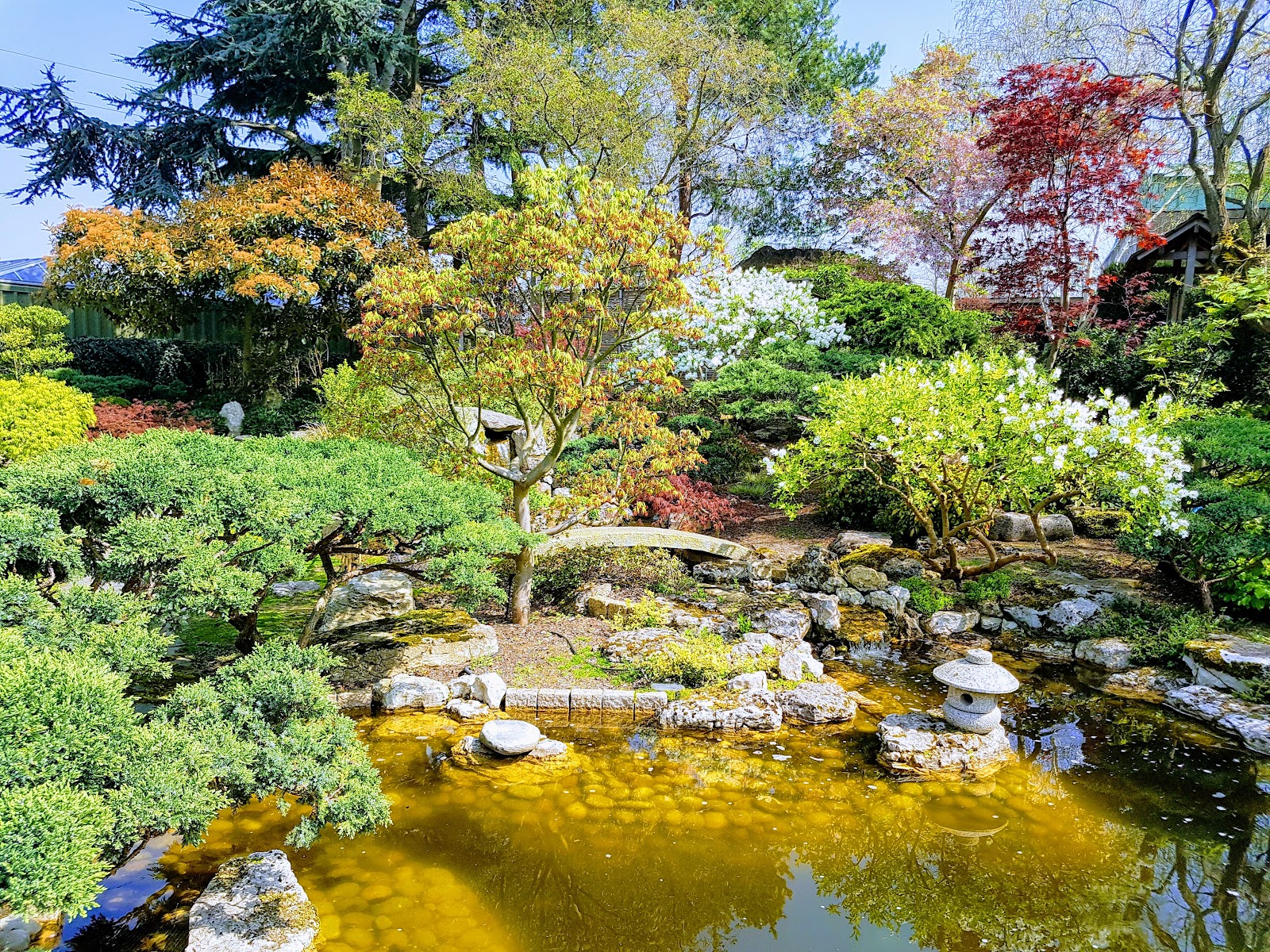 Capel Manor Gardens