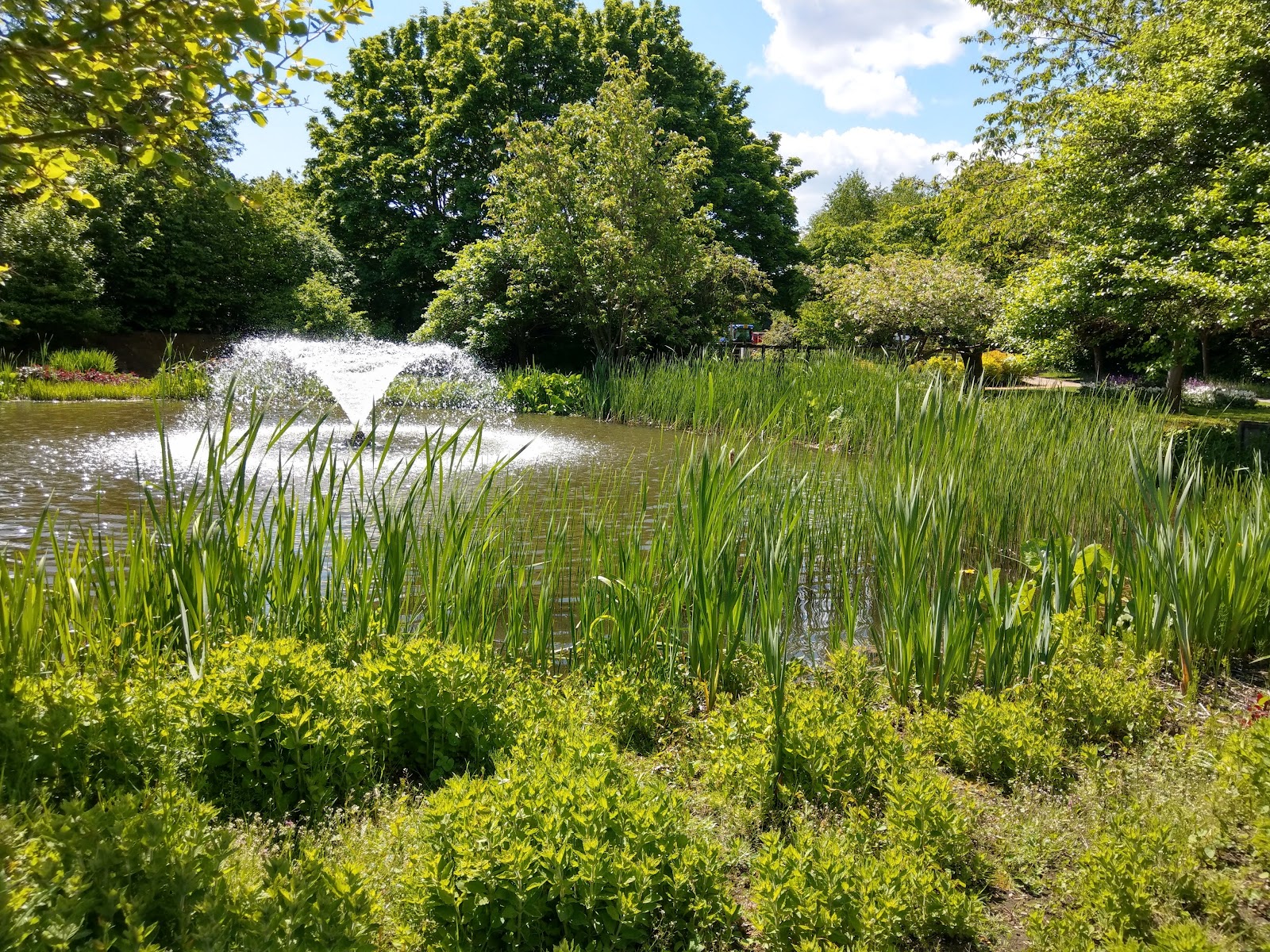 Capel Manor Gardens