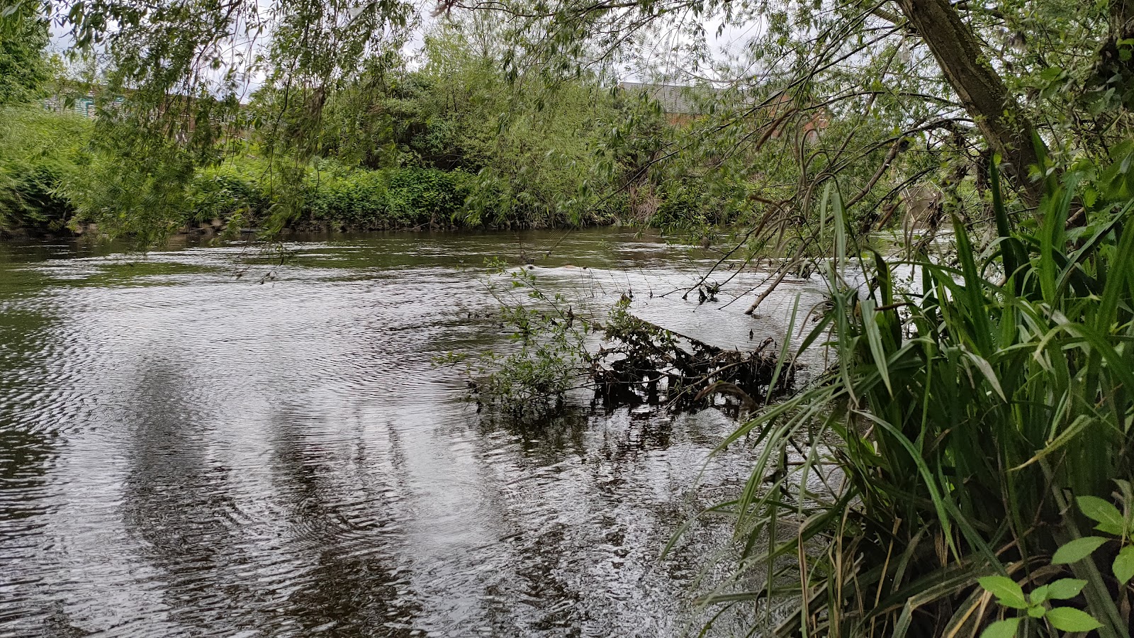 Centenary Riverside Nature Reserve — Source image