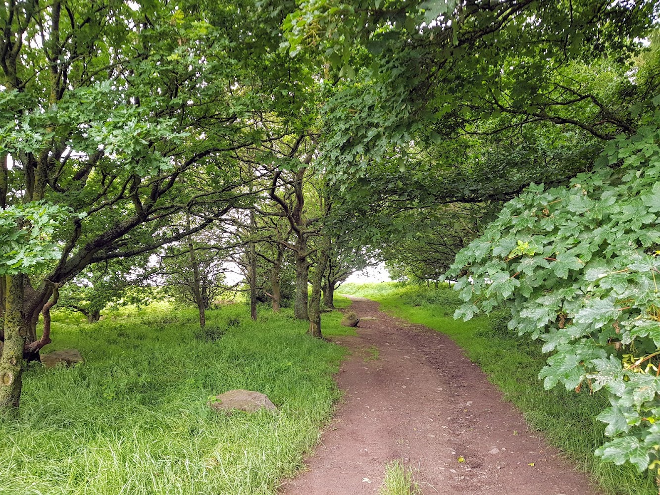 Charnwood Lodge National Nature Reserve — Source image