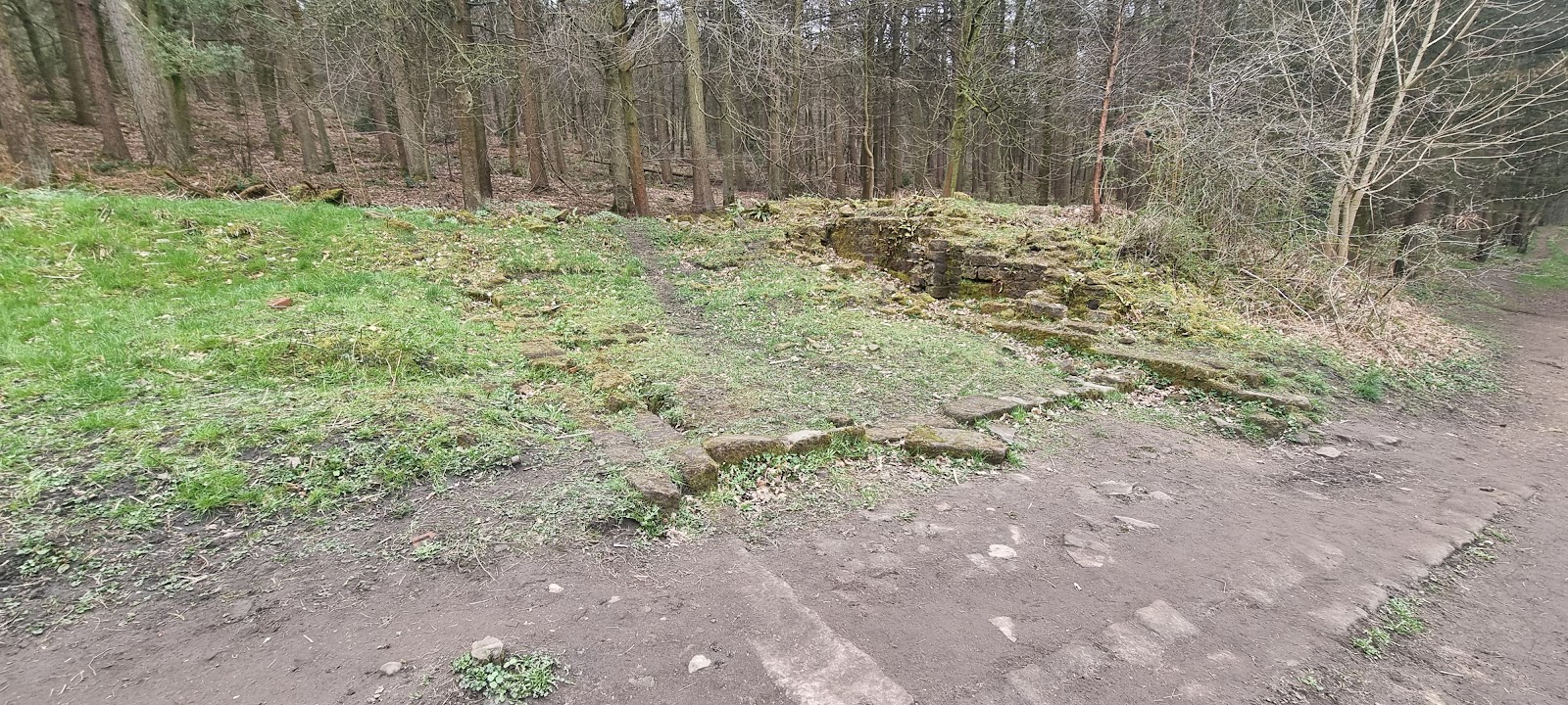 Chevin Forest Sculpture Trail — Place photograph