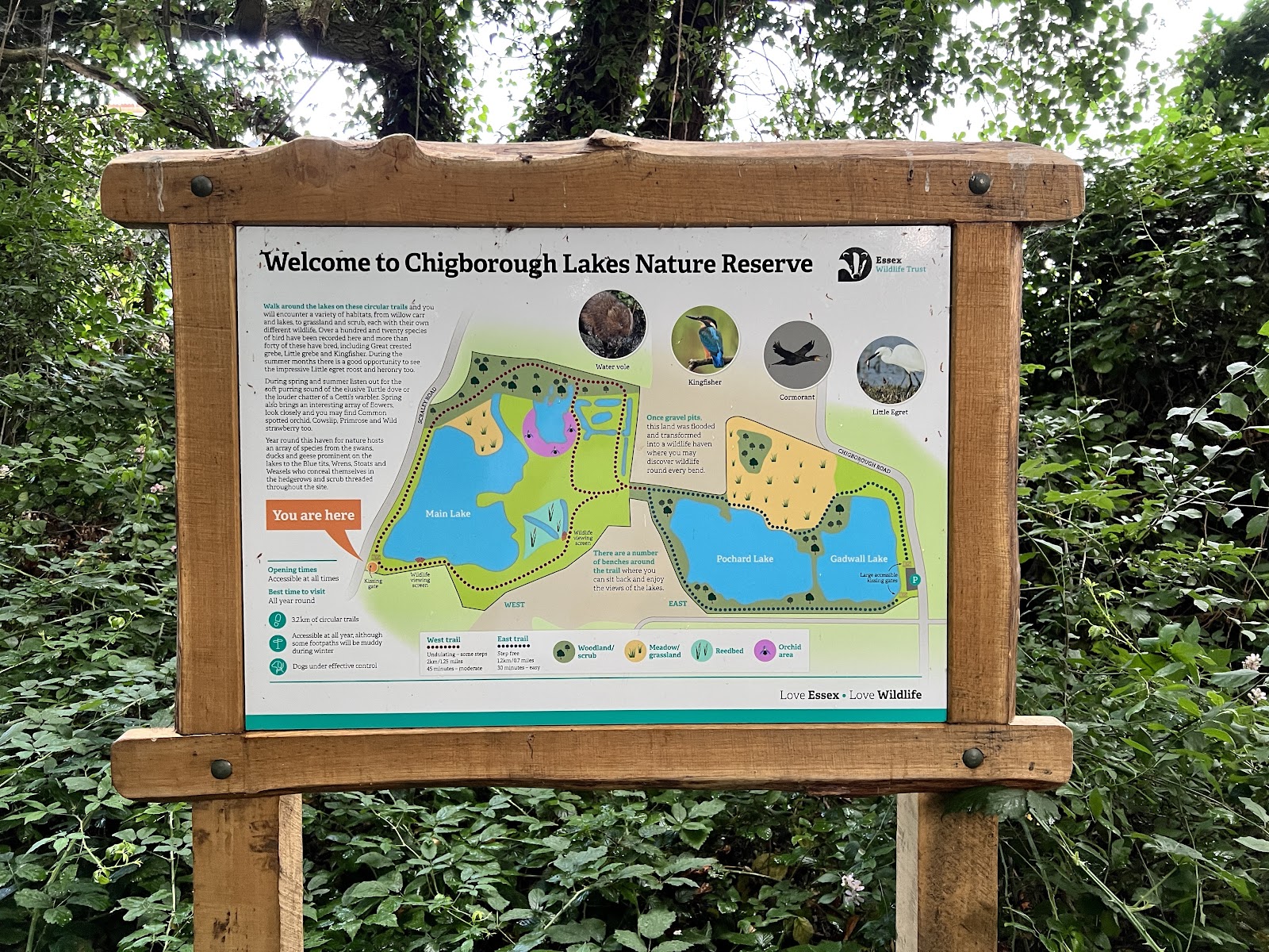Chigborough Lakes Nature Reserve — Place photograph