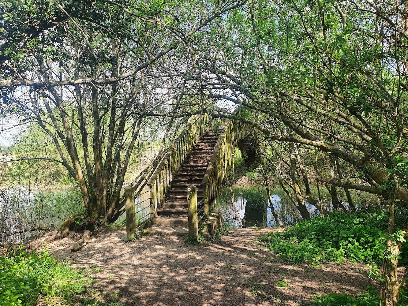 Chimney Meadows National Nature Reserve — Source image